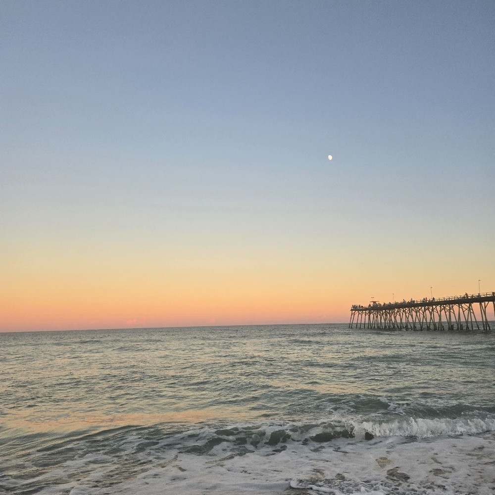 Meet your Posher, Maya